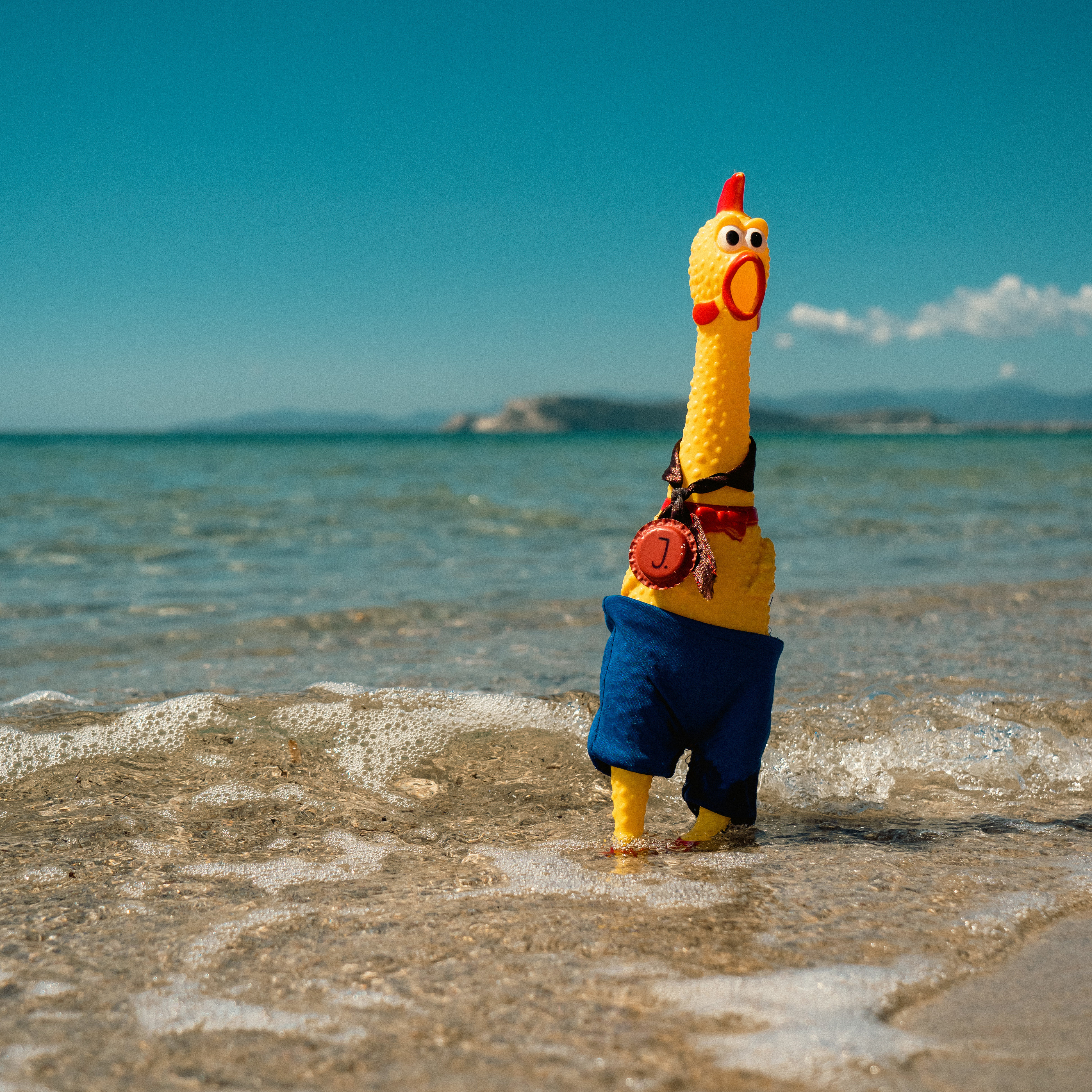 1st Place: Kevin Space_